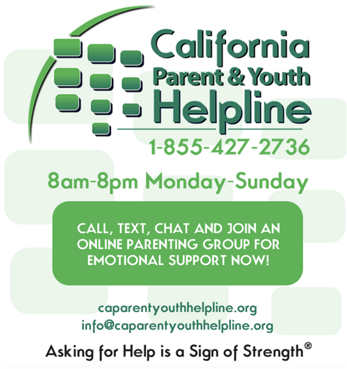 CA Helpline 